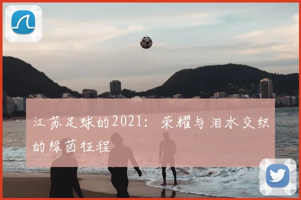 江苏足球的2021：荣耀与泪水交织的绿茵征程
