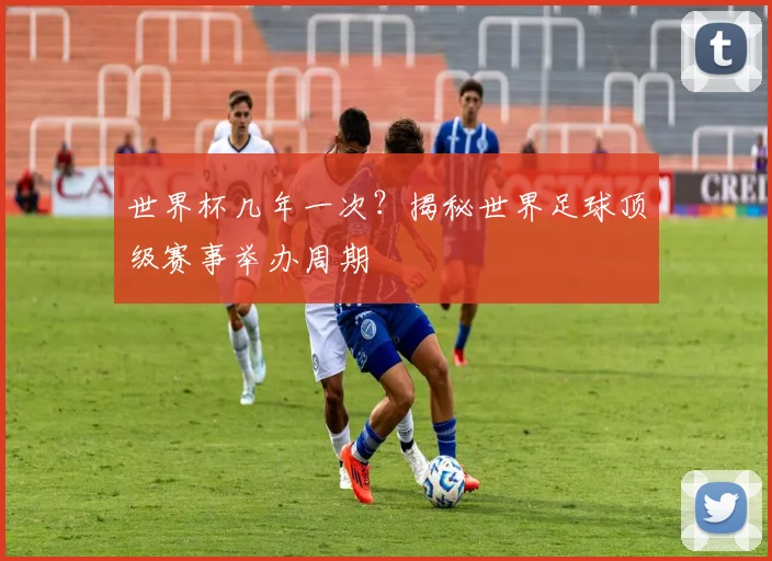 世界杯几年一次？揭秘世界足球顶级赛事举办周期